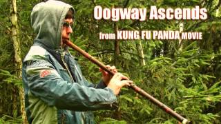 quotOogway Ascendsquot on chinese bamboo flute xiao by michal18c [upl. by Eiramnwad]