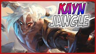 3 Minute Kayn Guide  A Guide for League of Legends [upl. by Obeng901]