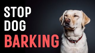 Sound To Stop Dogs Barking Not compatible with iPhone [upl. by Htieh]