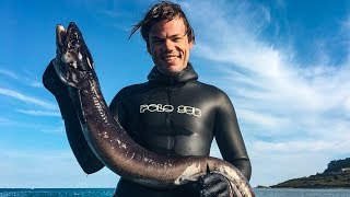 Catch and Cook Conger Eel  Spearfishing England United Kingdom [upl. by Notsek]