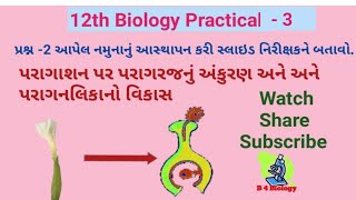 12th Science Biology Practical 3  પરાગાશન પર પરાગનલિકાનો વિકાસ [upl. by Ainadi]