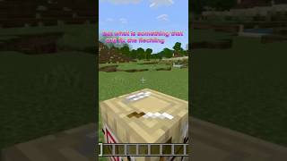 Fletching table update minecraft [upl. by Hamaso]