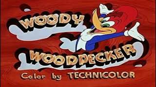 Woody Woodpecker Theme Song 19621972 [upl. by Davey]