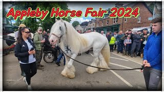 Appleby Horse Fair 2024 [upl. by Nalyac]