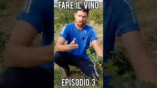 Fare il vino EPISODIO 3 tutti i passaggi per produrlo in casa short [upl. by Meadow]