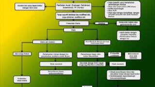 Video Konsensus Penatalaksanaan Diare Akut pada Dewasa Di Indonesia part 2 [upl. by Redna81]