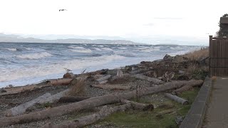 QUALICUM BEACH WAVES [upl. by Asiilanna]