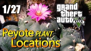 GTA 5  Peyote Plant Locations 0127 [upl. by Michal]