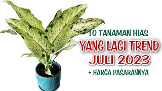 10 Tanaman Hias Yang Lagi Trend di Bulan Juli 2023 [upl. by Idalia]