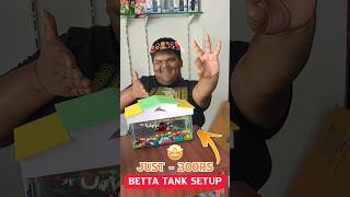 Betta Tank  Bettafish With Colour Stone  Betta Food🐠😍🐡  Jeelani Vlogger  Tamil  JVf [upl. by Berton]