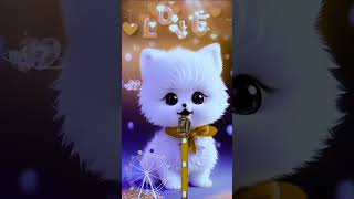 Hasbi rabbi naat beautiful cat shorts funny trending [upl. by Elfreda457]