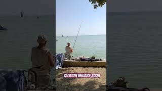 Angler am Balaton  Plattensee Ungarn  2024 [upl. by Kizzee]