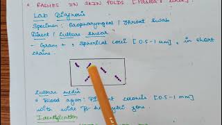 Streptococcal pharyngitis Microbiology  Bacterial pharyngitis   Symptoms Lab diagnosisTreatment [upl. by Benedick296]