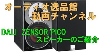 DALI ZENSOR PICO のご紹介 [upl. by Yeliac]