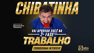 CHIBATINHA 2ª FASE TRABALHO 41º EO SAIBA COMO FUNCIONA [upl. by Gerk671]