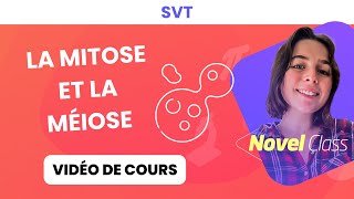 La mitose et la méiose  SVT 1ère spécialité [upl. by Ikcaj]