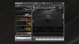 SYMPHONY SERIES  WOODWIND SOLO Playthrough  Native Instruments [upl. by Kurtzman431]