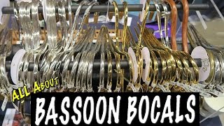 All About BASSOON BOCALS [upl. by Baras312]