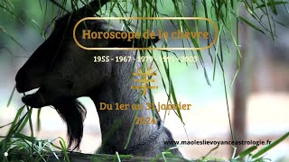 Astrologie Chinoise Horoscope Janvier 2024 La Chèvre huitième signe du zodiaque [upl. by Viv79]