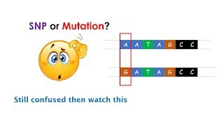 Difference between SNP and Mutation Clear the differences between two [upl. by Rossing]