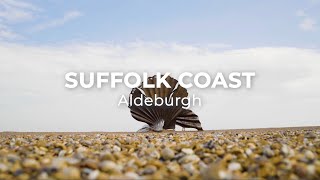 Discover Aldeburgh on The Suffolk Coast [upl. by Kadner]