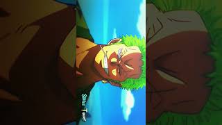 Straw Hats👒  EDITAMV  Luffy x Zoro shorts ytshorts onepiece monkeydluffy [upl. by Aloz]