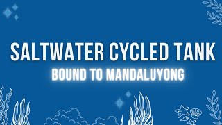 10gal Aio Saltwater Cycled Tank Bound To Mandaluyong [upl. by Nylannej401]