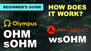 OHM sOHM and wsOHM  What is wsOHM How to Stake OHM [upl. by Treb]