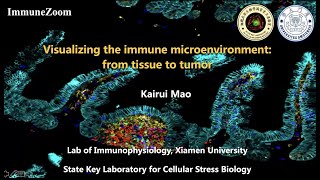 Visualizing the immune microenvironment from tissue to tumor [upl. by Esiled]