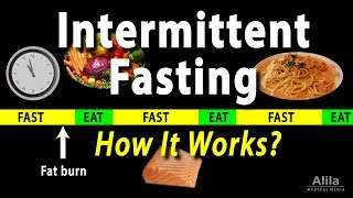 Intermittent Fasting  How it Works Animation [upl. by Aronaele108]