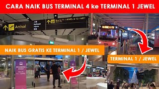 Cara Naik Bus  GRATIS  dari Terminal 4 ke Terminal 1 JEWEL Cara Titip Bagasi di Changi Airport [upl. by Am]