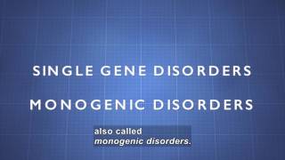 Science Video Vocab Monogenic Disorders Accessible Preview [upl. by Vilma]