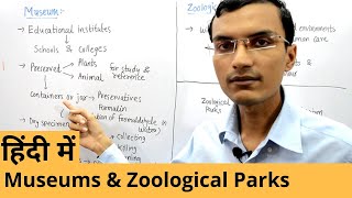 Taxonomical aids  Museums and Zoological Parks in Hindi  Class 11 [upl. by Manlove858]