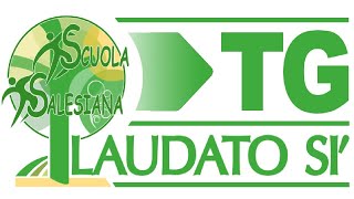 TG LAUDATO SI  n0 [upl. by Laemaj95]