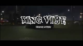 The Rise of KING VIBE Revolutionizing Punjabi Music [upl. by Tedmund]