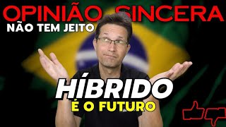 Carro HÍBRIDO é o FUTURO Não adianta VOCÊ vai COMPRAR UM Entenda os motivos e se VALE a PENA [upl. by Nawad3]