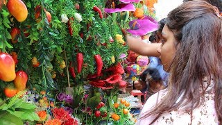 Big Market Chowk Bazar in Dhaka  Chawk Bazaar all Type Product  Puran Dhaka Chowk Bazar [upl. by Eirrac125]