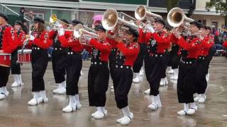 Pride of the Dutchman Band Tulip Festival 2017 [upl. by Zarger]