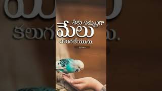 eeroju devuni vakyam🙏today promise in telugu shorts Jesus msg telugu [upl. by Aluk185]