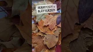 HerbstBlätterWesenGeschichten 🍁 KreativProjektIdee 🍂 illustration kreativestarthilfe kunst [upl. by Erreit572]