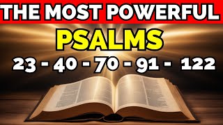 SEIZE the POWER in Your HANDS UNRAVEL the Prayer with the 5 MOST IMPACTFUL PSALMS of the BIBLE [upl. by Namqul672]