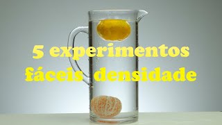 5 EXPERIMENTOS de FÍSICA densidade que você pode fazer em casa [upl. by Ciardap603]