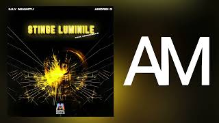 Andrei G X Iuly Neamțu  Stingeți Luminile Audio Manele [upl. by Maribeth]