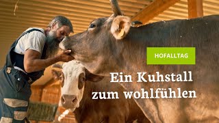 Unsere tägliche Routine Für einen sauberen und gemütlichen Laufstall 🐄✨ [upl. by Lauritz945]