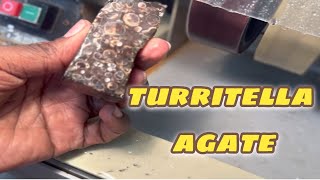 Working with TURRITELLA AGATE it was tough but amazing polishingstones lapidary [upl. by Yedsnil]