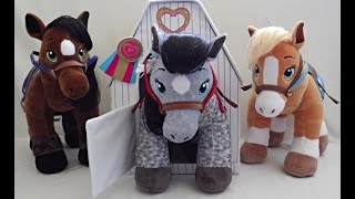 Grey Appaloosa Horses and Hearts Riding Club All Three Horses [upl. by Ateekahs]