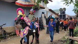 kuda renggong putra pusaka group PPG Live hari ini di tawang heman  solokan jeruk [upl. by Fabria]