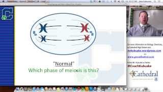 Karyotyping amp Genetic Disorders [upl. by Karil279]