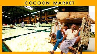 COCOON MARKET VISIT  vlog 5 cocoons are sold to the reeler s erikvisualarts [upl. by Fattal884]