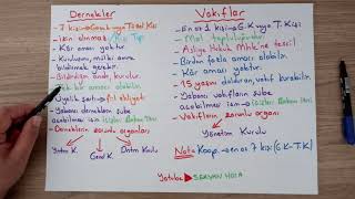 4  KPSS 2020 ANAYASA  DERNEKLER  VAKIFLAR VE KOOPERATİFLER [upl. by Enrol]